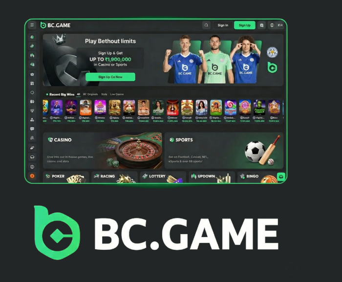 Understanding BC.Game Login Process A Step-by-Step Guide